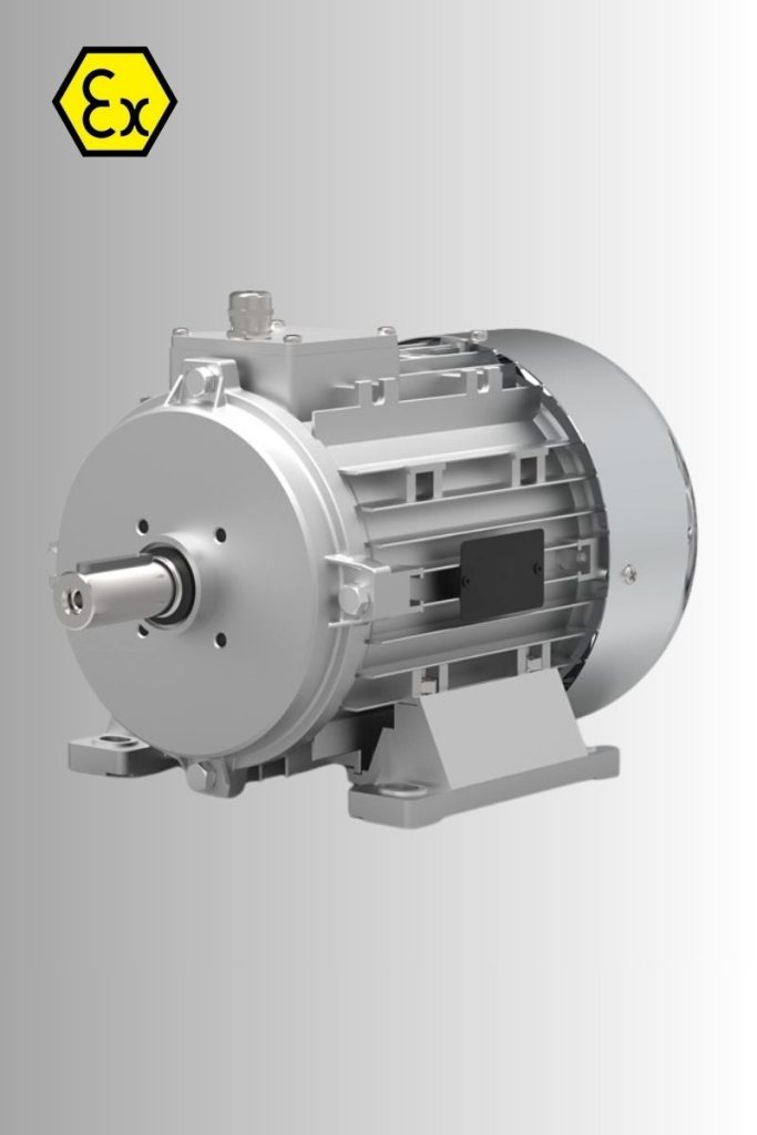 Ex-proof Motor