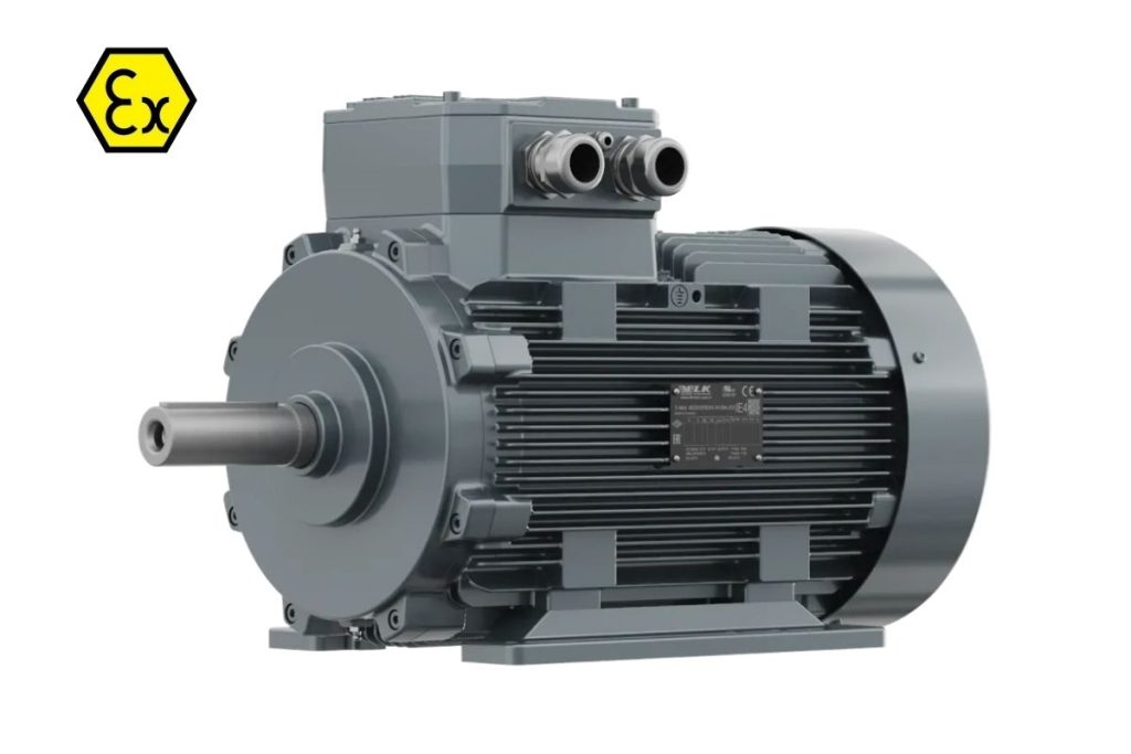 Exproof Motor