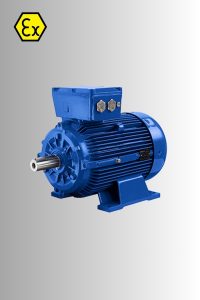 Exproof Motor Fiyatları